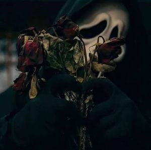 Meet your Posher, Jaede